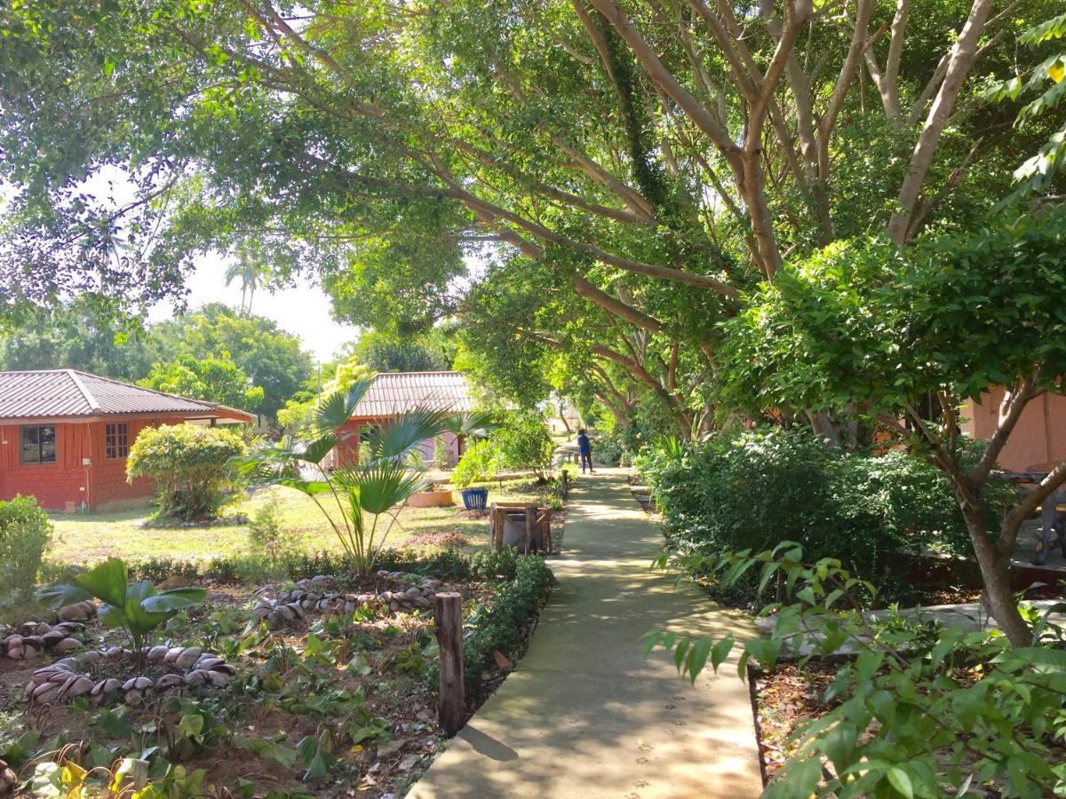 Lamai Chalet Amphoe Koksamui Buitenkant foto
