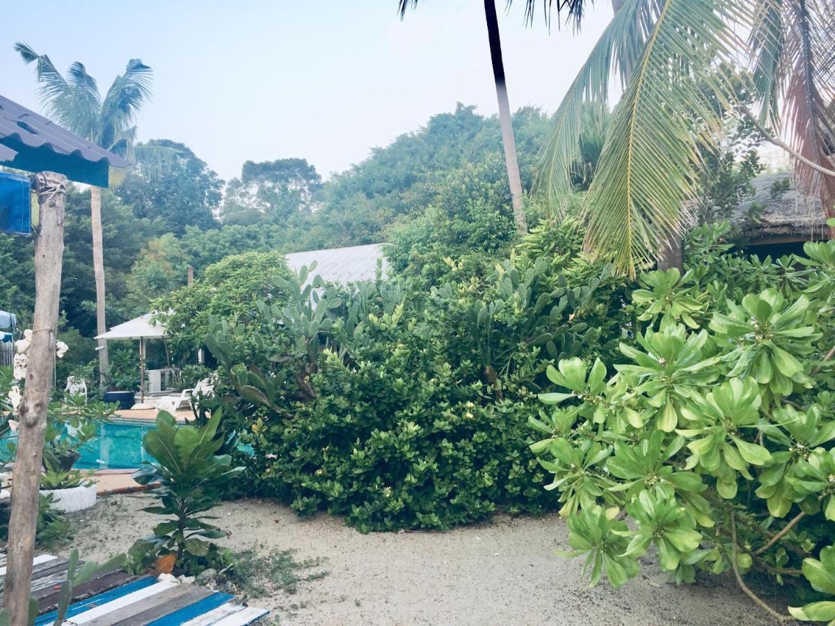 Lamai Chalet Amphoe Koksamui Buitenkant foto